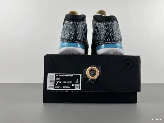 Rep 318376-041 23 UNC Jordan 0526